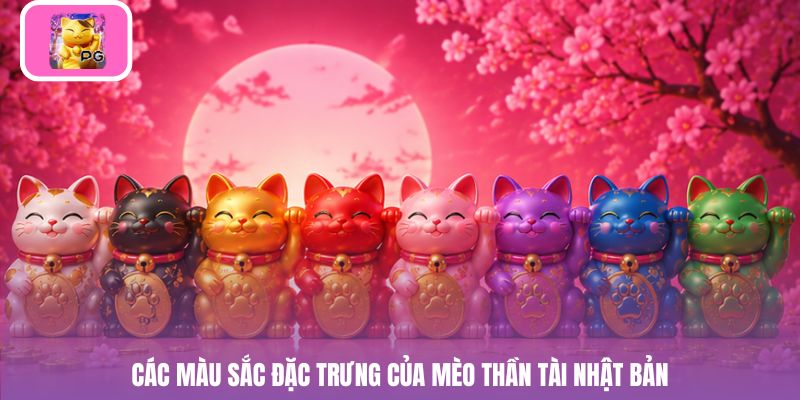 Các màu sắc đặc trưng của mèo thần tài Nhật Bản