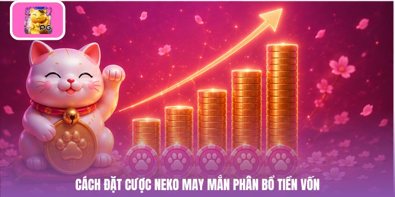 Cách đặt cược neko may mắn phân bổ tiền vốn