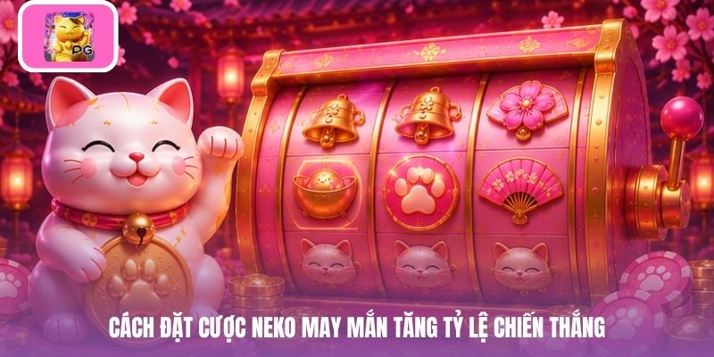 Cách đặt cược neko may mắn tăng tỷ lệ chiến thắng