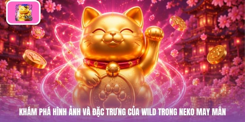 Khám phá hình ảnh và đặc trưng của wild trong neko may mắn