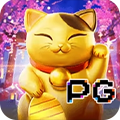 nekomayman.com