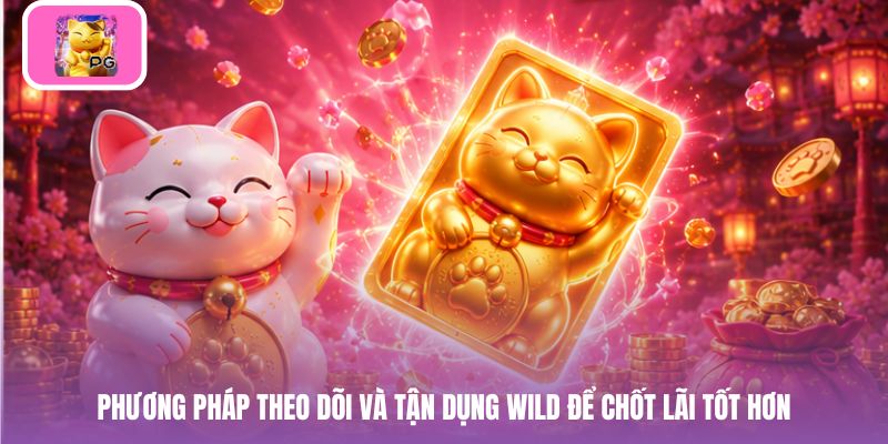 Phương pháp theo dõi và tận dụng Wild để chốt lãi tốt hơn
