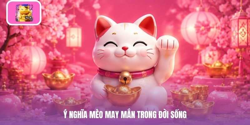 Ý nghĩa mèo may mắn trong đời sống